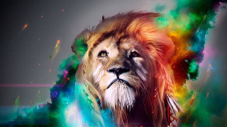 Lion colorful mane rainbow swirls - a white line free wallpaper