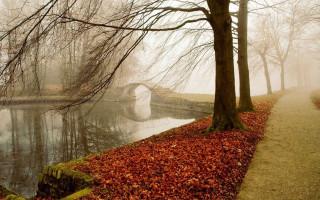 Foggy bridge river autumn leaves - florence engelbach free wallpaper