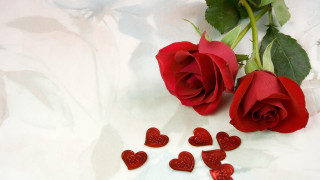 Rose red hearts white surface - two red heart free wallpaper