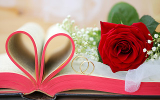 Romantic book heart ring rose - the cover free wallpaper