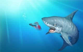 Shark fish ocean sunlight bubbles - a fish free wallpaper