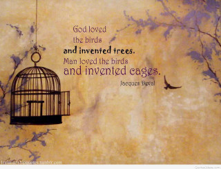 Bird cage quote god loved - man free wallpaper