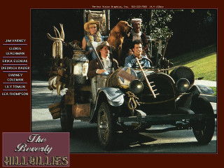 People car dog group riding - excessivism free wallpaper