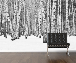 Black white forest snow bench - modern free wallpaper for desktop