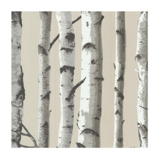 Trees white trunks beige background - free forest wallpaper for tablet