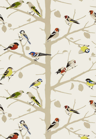 Flock birds tree branch white - a white wallpaper free wallpaper