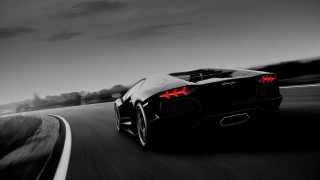 Black white sports car tail - the rear free wallpaper