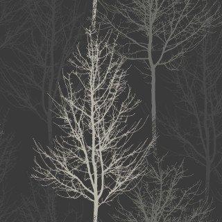 Black white bare tree ambient - free winter wallpaper for tablet