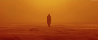 Person standing field yellow sky - blade runner free wallpaper