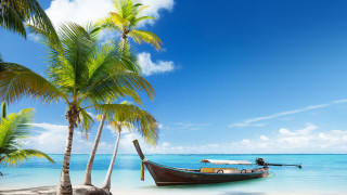 Boat beach palm trees blue 3 - palm tree free wallpaper for desktop