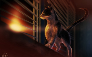 Cat standing ledged window sunset - photorealistic lighting free wallpaper