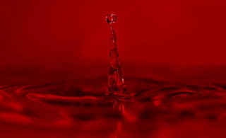 Red liquid droplet macro blood - liquid free wallpaper