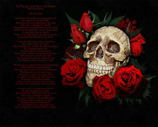 Skull roses black background poem - dark art free wallpaper