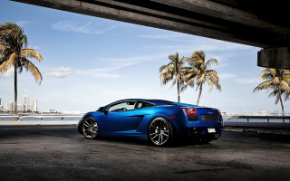Blue sports car parking palm - a blue sports car free wallpaper for desktop
