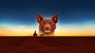 Dog man horse desert sunset - bob ringwood free wallpaper
