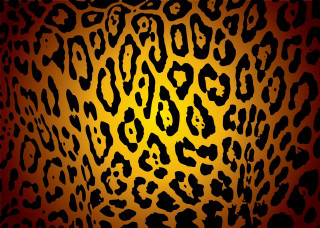 Leopard yellow black red border - bert stern free wallpaper