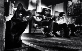 Black cat porch guitar man - black arts movement free wallpaper