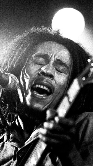 Man dreadlocks guitar microphone stand - bob singer free wallpaper for mobile