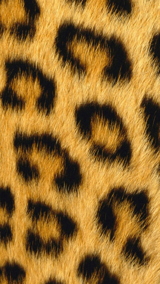 Animal fur pattern black background - daarken free wallpaper for mobile