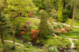 Lush green park river trees 2 - nature free wallpaper