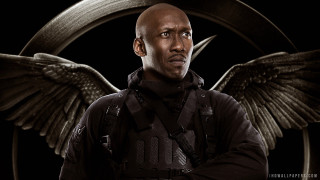 Bald man wings chest black - a bald head free wallpaper for desktop