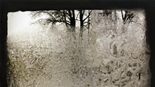 Window tree snow outside sill - snow free wallpaper