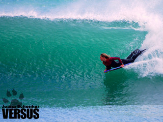 Surfing person dog paw ocean - blunt border free wallpaper