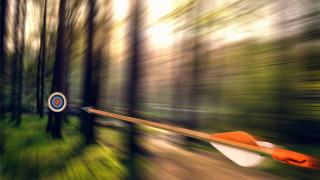 Bow arrow woods blurry trees - focus free wallpaper