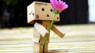 Toy flower amazon logo hand - cicely free wallpaper for desktop