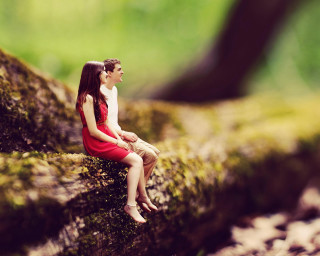 Miniature man woman mossy log - in the wood free wallpaper