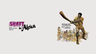 Man baseball bat group people - a baseball bat free wallpaper