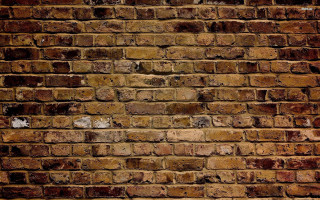 Brick wall white cat black 2 - a white cat free wallpaper