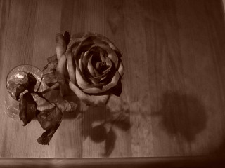 Rose table wine glass vase - a rose free wallpaper