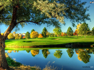 Golf course pond trees blue - a pond and trees free wallpaper