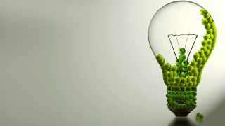 Light bulb green plant tabletop - a light bulb free wallpaper