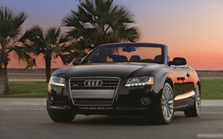 Black convertible car sunset palm - convertible free wallpaper