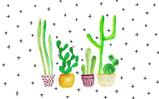 Cactus plants pots white background - a drawing free wallpaper