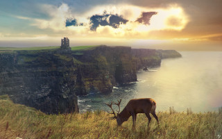 Deer grazing grassy hill cliff - a cliff face free wallpaper