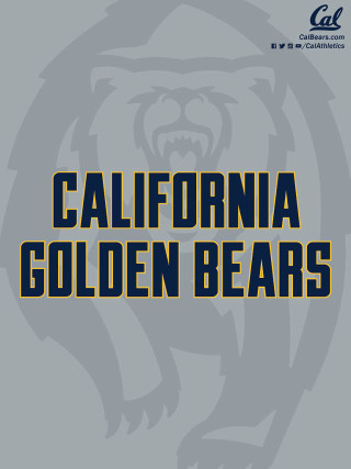 Gray yellow california golden bears - gray free wallpaper for mobile