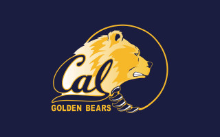 Golden bear black background blue - colin gill free wallpaper