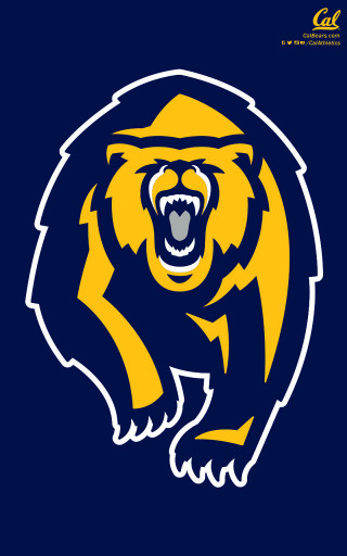 Bear mouth open hat blue - open free wallpaper for mobile