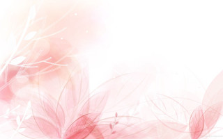 Pink white background flowers leaves - pink center free wallpaper
