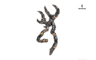 Black orange lizard air tail - its tail free wallpaper