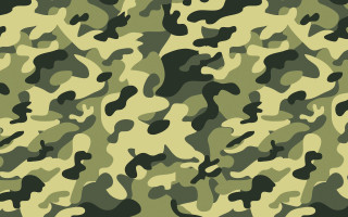 Camouflage green pattern similar image - a camouflage pattern free wallpaper
