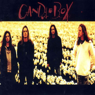 Group men field flowers candle - a group of men free wallpaper for tablet