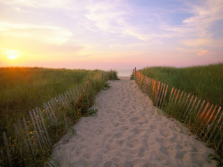 Sunset beach path fence grass - beach free wallpaper