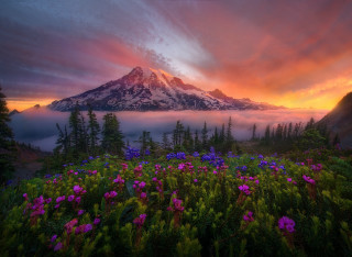 Mountain clouds flowers colorful sky - mystical free wallpaper
