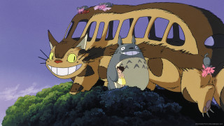 Bus cats on it cat - a bus free wallpaper