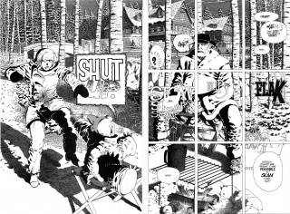 Comic strip woods bench pokemon - a comic strip free wallpaper