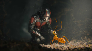 Ant man yellow ant man - imax 70 mm footage free wallpaper